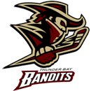 Thunder Bay Bandits